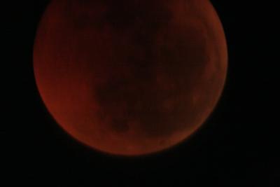 img_8294.jpg